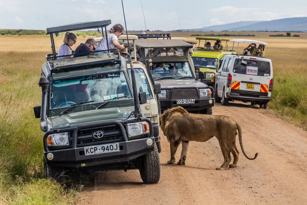Safari Travel Scams and Tips how to Stay Safe (Updated New Tricks!)