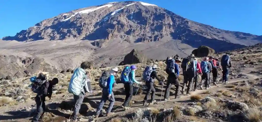 Kilimanjaro Shira Route – 6 Days Adventure