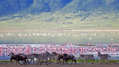 serengeti-national-park-2