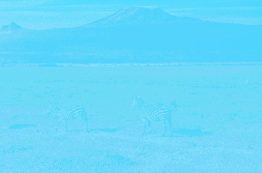 why-visiting-tanzania-w.jpg