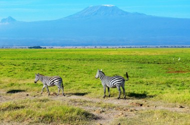 why-visiting-tanzania