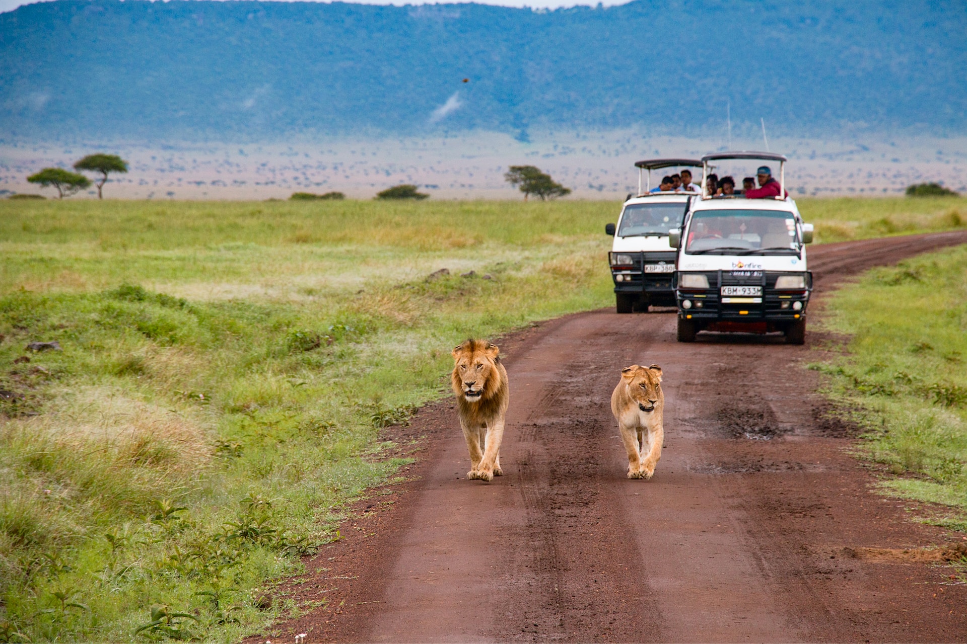Journey to Kenya to explore Cultures, Landscapes and Wildlife safari