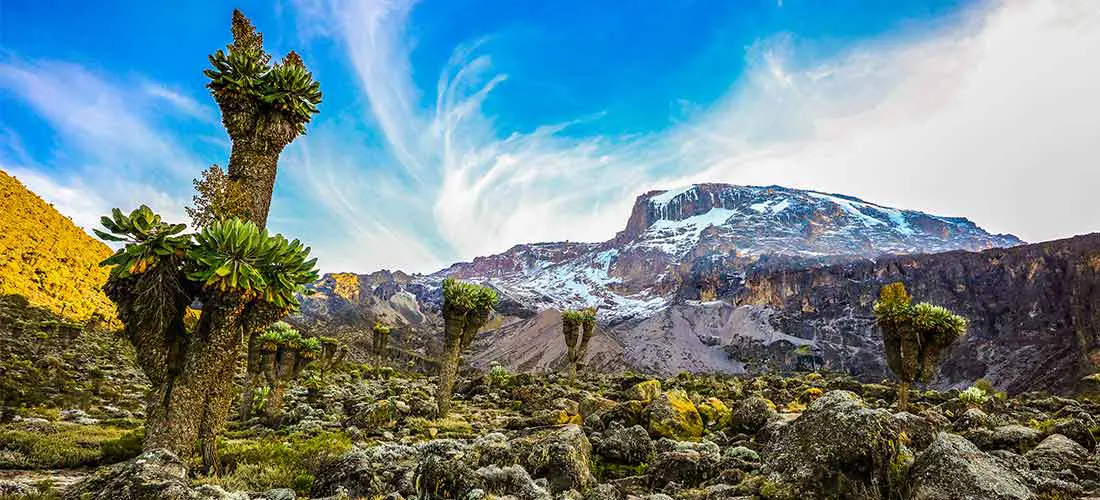Mountain Kilimanjaro - Lemosho Route