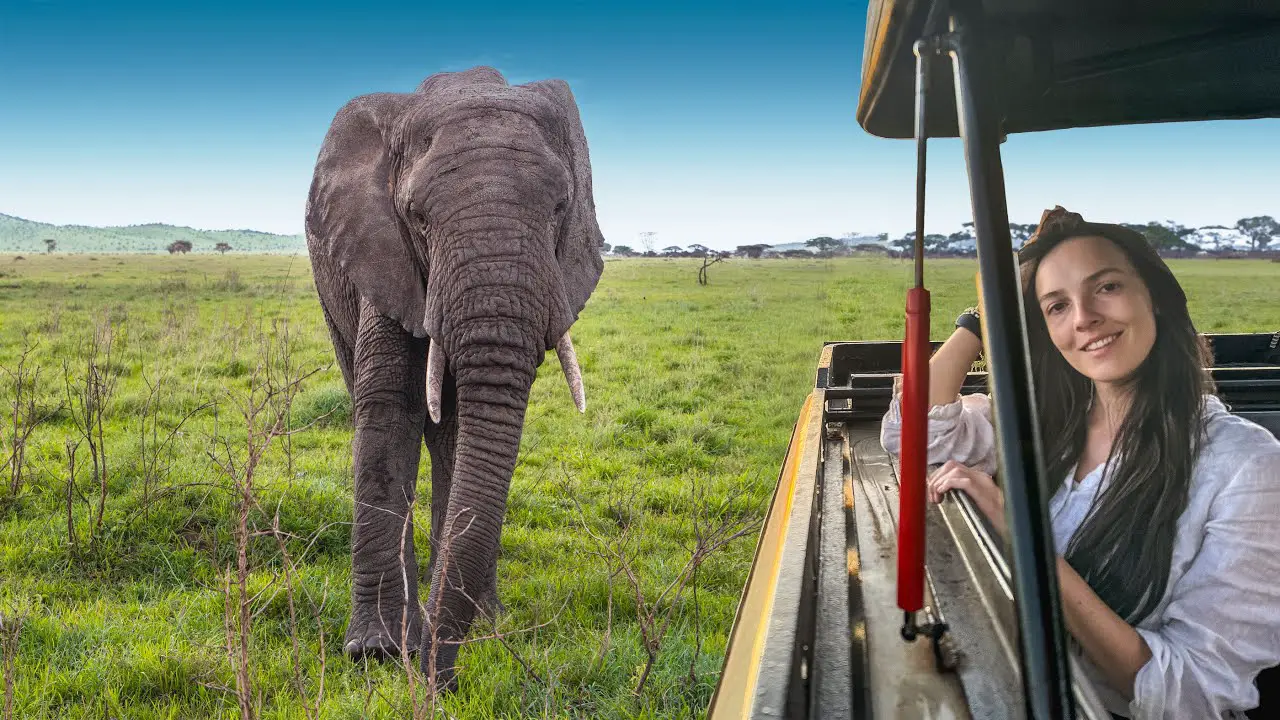 Safari Travel Scams and Tips how to Stay Safe (Updated New Tricks)