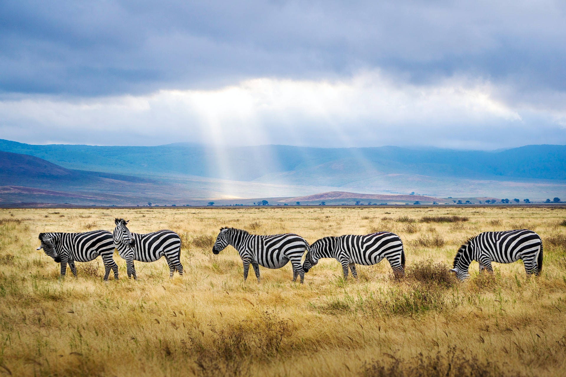 Ngorongoro landscape