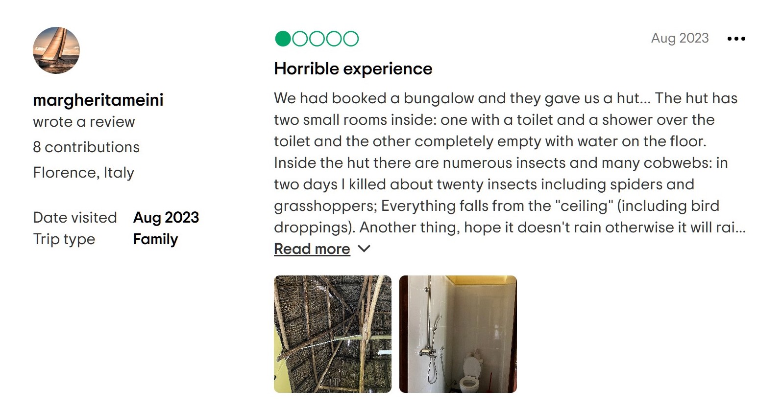 Safari went wrong review