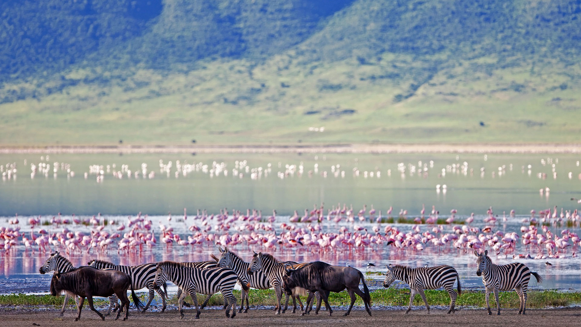 Serengeti vs Masai Mara - The Best Safari Destination Revealed