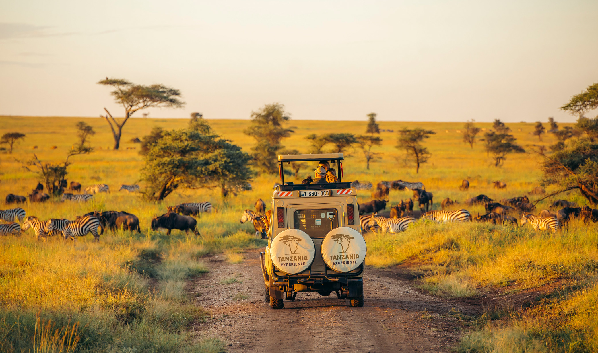 5 Things No One Tells You About Africa Safari
