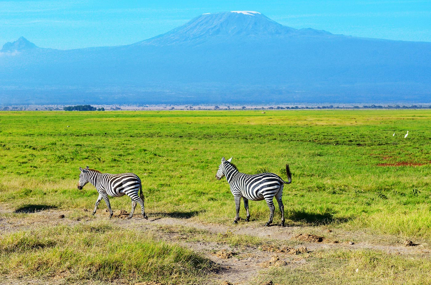 Top 10 Places to Visit in Tanzania - Top travel Guide